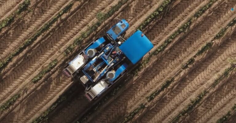 Mendoza y su ecosistema tecnológico