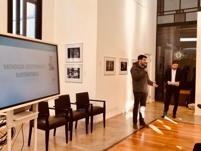 Asistencia financiera para emprendedores y pymes de triple impacto