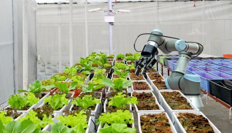 Emprendimientos tecnológicos con impacto social recibirán ayuda económica