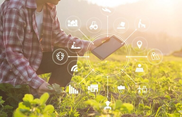 Convocan al primer concurso de Startups en Innovación agrícola