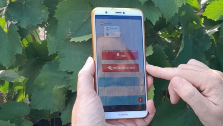 Descubre la app argentina que corrige defectos del vino y el mosto