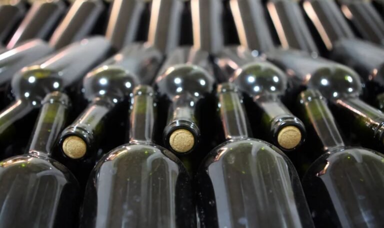 “Vino la Idea”, el desafío que te lleva a Burdeos de la mano de Wines of Argentina