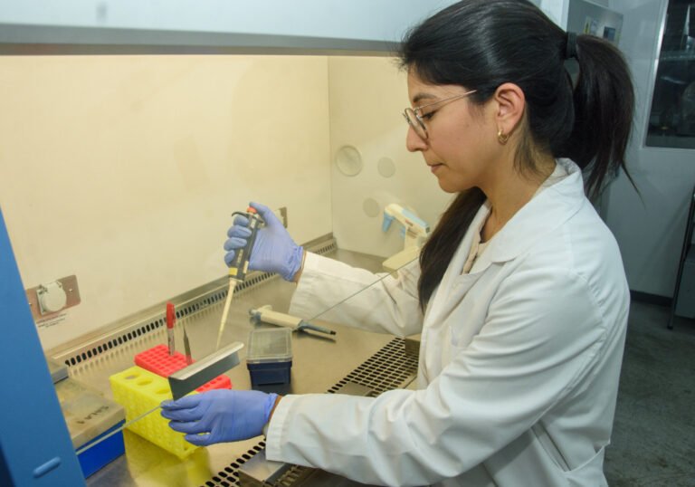 UNCUYO impulsa proyectos internacionales para potenciar el liderazgo femenino en STEM