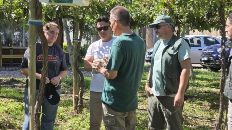 Inteligencia Artificial aplicada al agro: ISCAMEN desarrolló un sistema propio de machine learning para el reconocimiento de plagas