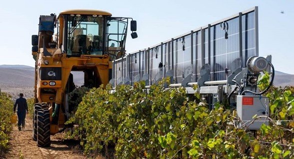 Vitivinicultura inteligente: Mendoza será sede de un foro sobre IA y sostenibilidad